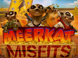 Meerkat Misfits