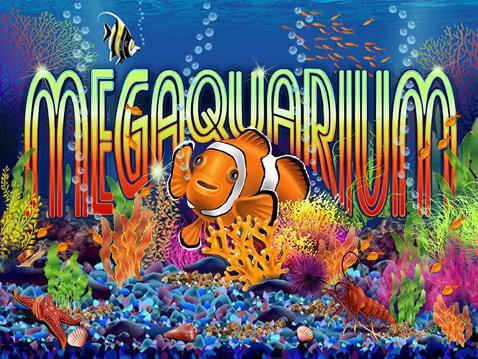 megaquarium