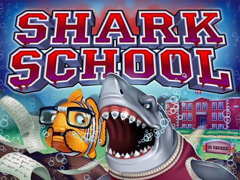 shark-school