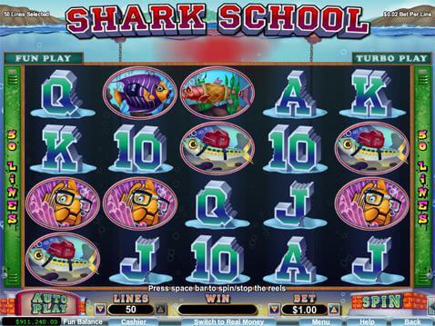 shark-school