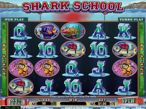 shark-school